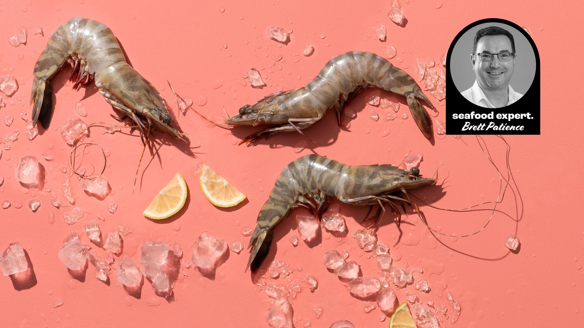 Three raw prawns on a coral background with scattered ice cubes and lemon wedges, alongside an inset portrait of seafood expert Brett Patience.