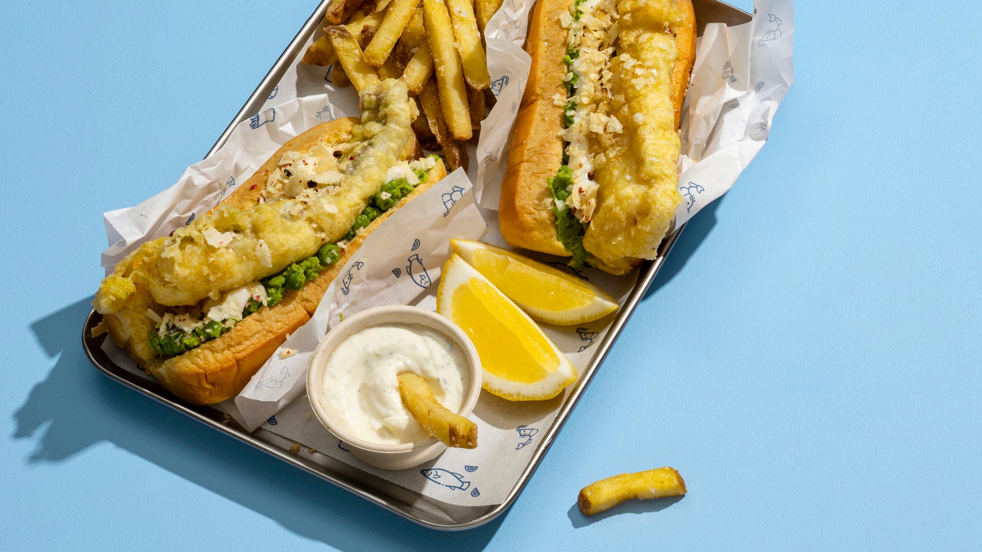 aMag Sum24 Blog Sea dogs