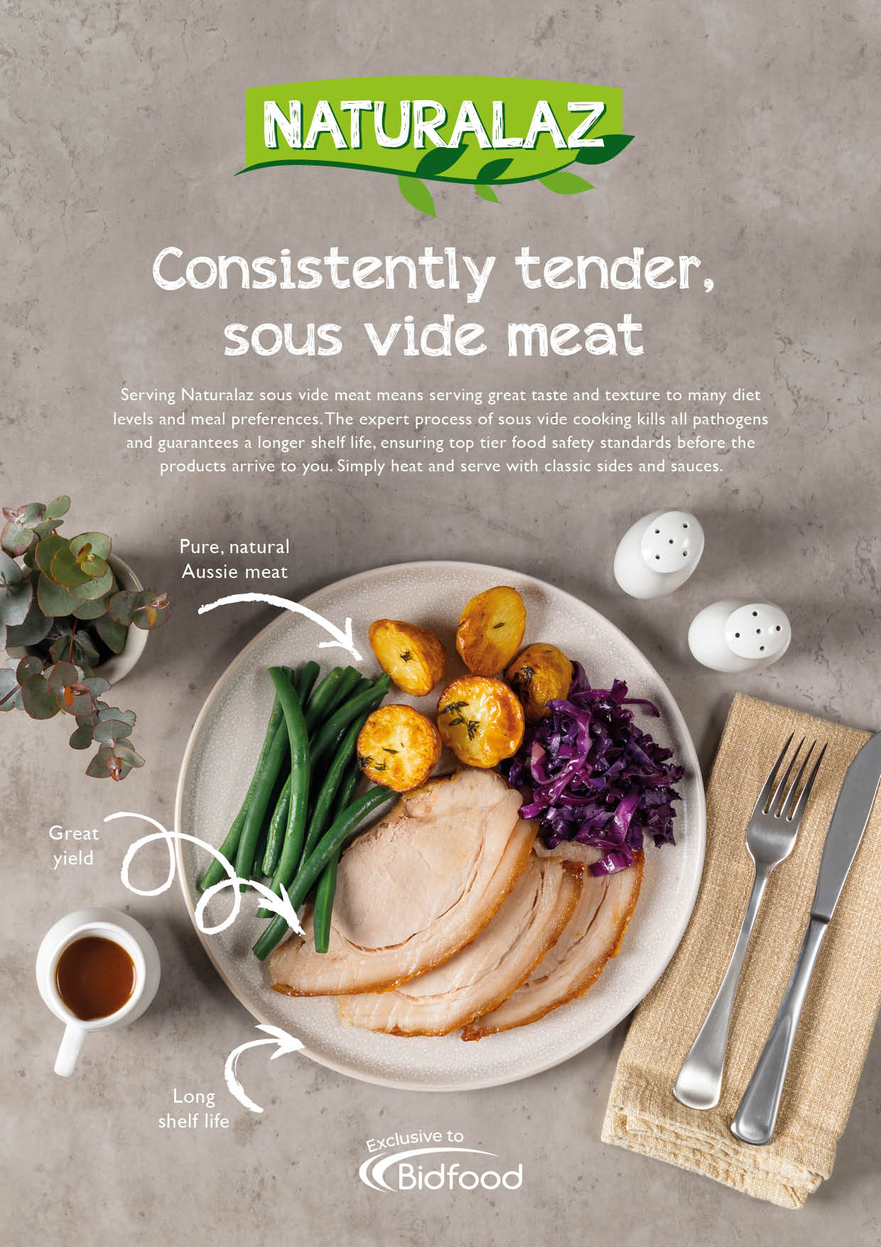 Naturalaz Healthcare Brochure 12PP A4 FA COVER