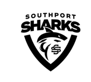 About 9 ssharks logo